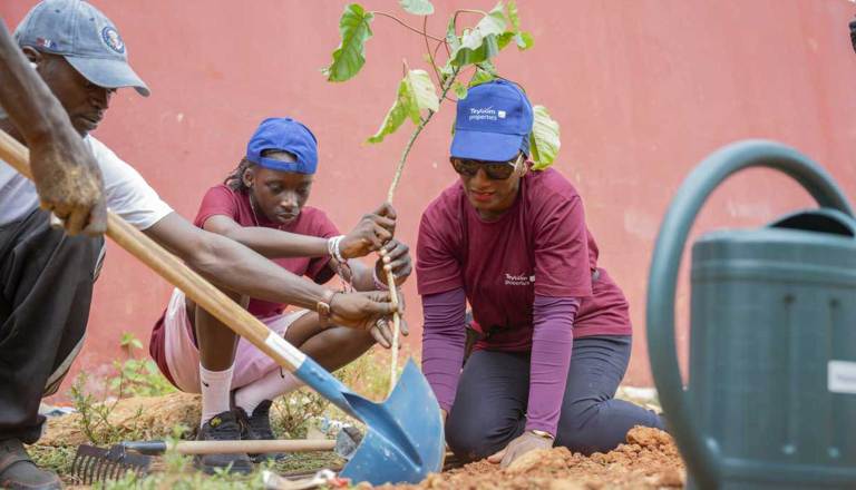 Reforestation Day in Bambilor